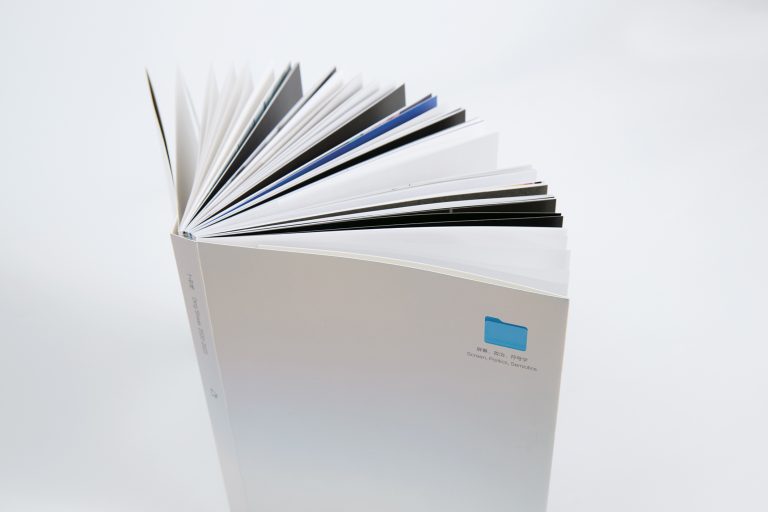 屏幕、政治、符号学