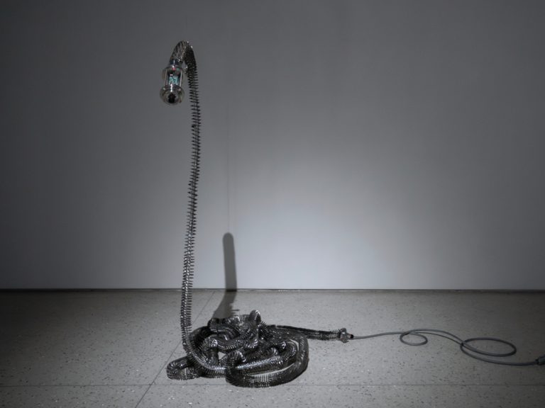 Spector’s Ventriloquism: Mutation