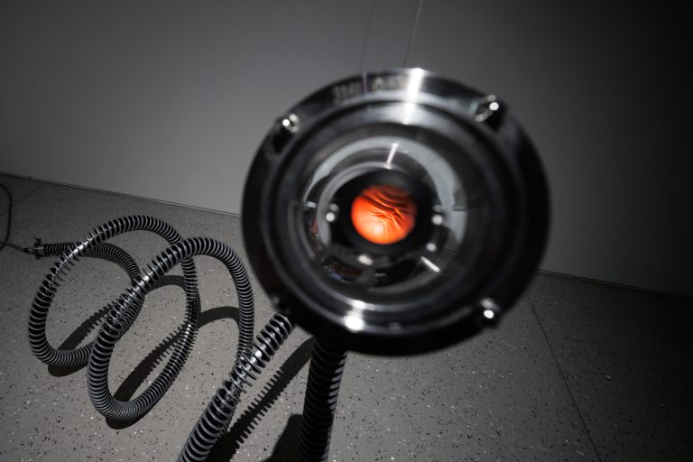 Spector’s Ventriloquism: Reproduction